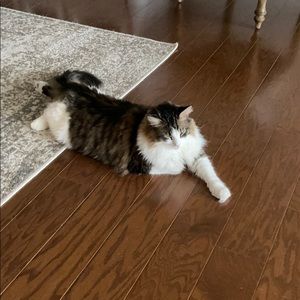 Meet your Posher, Victoria